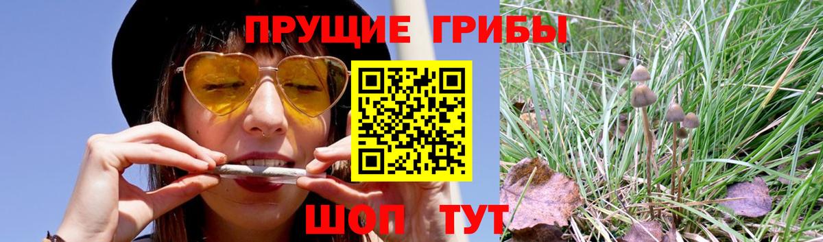 Галлюциногенные грибы прущие грибы  Вход с VPN  Новотроицк 